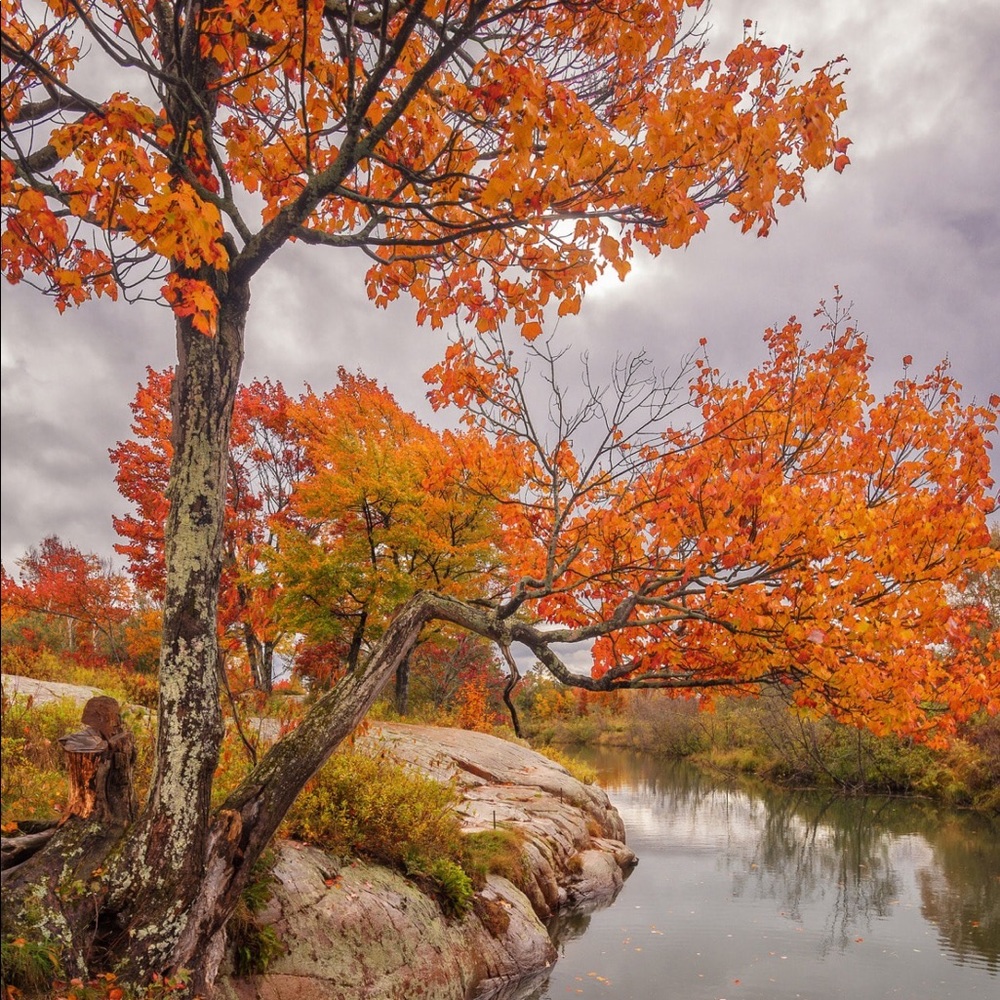 Meet your Posher, Lindsey